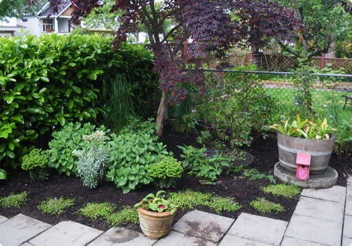 Paving stones and garden bed
